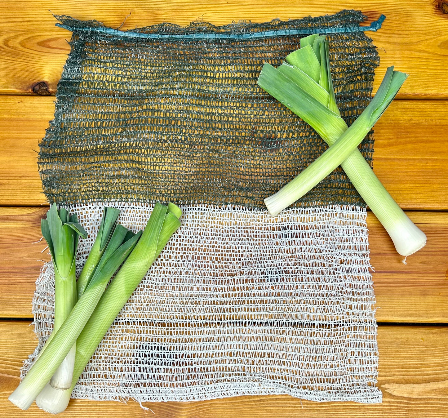 46x59cm Dark Green & White Leek Net Bags