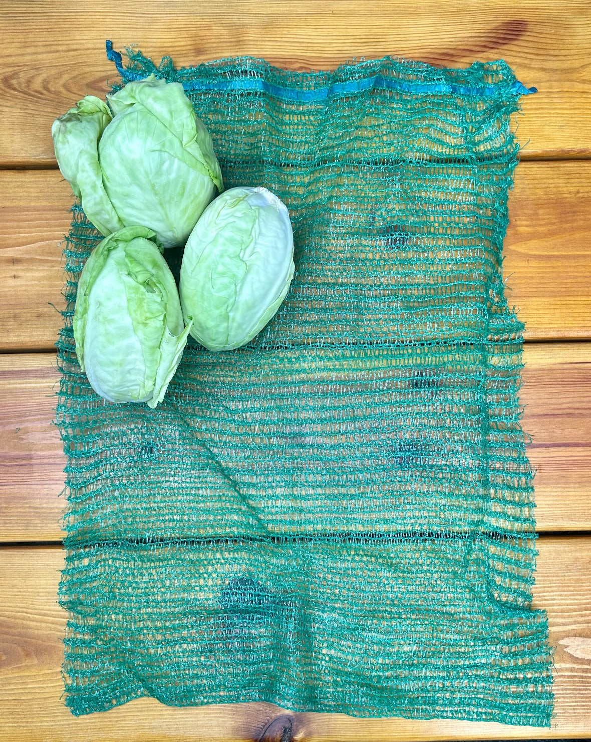 55x76cm Pea Green 25kg Cabbage Net Bags